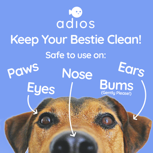Adios Plastic Compostable 100% Compostable Pet Wet Wipes