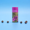 Seedball Wildflower Tube