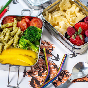 Elephant Box 3-in-1 Stainless Steel Snack Box - Plastic Freedom