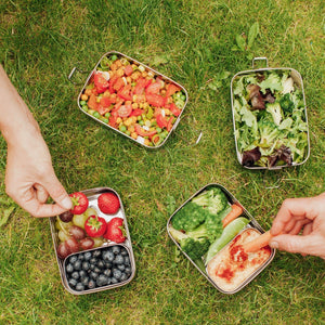 Elephant Box 3-in-1 Stainless Steel Snack Box - Plastic Freedom