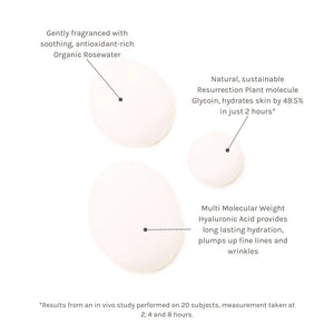Evolve Beauty Age Defying Hydrating Face Mist to Hydrate and Refresh - Plastic Freedom