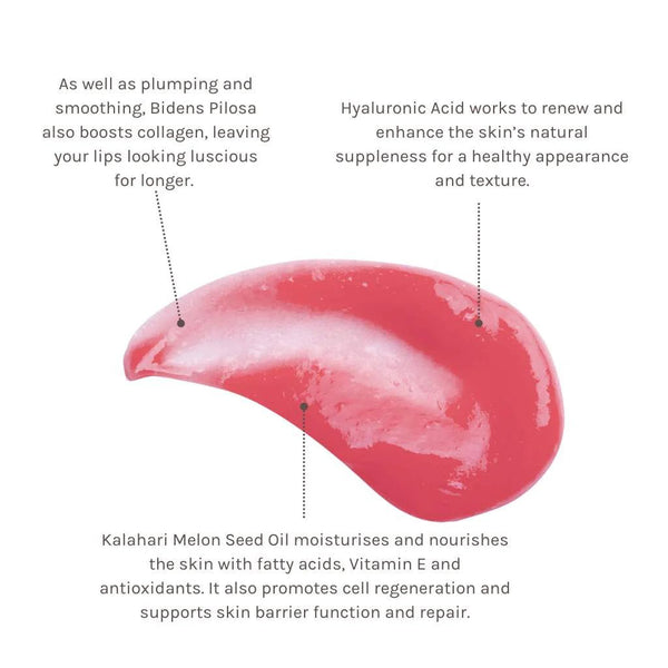 Evolve Beauty Bio-Retinol Glossy Lip Oil - Sugarcane Tube - Plastic Freedom