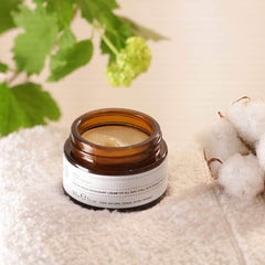 Evolve Beauty Cotton Fresh Deodorant Cream - Plastic Freedom