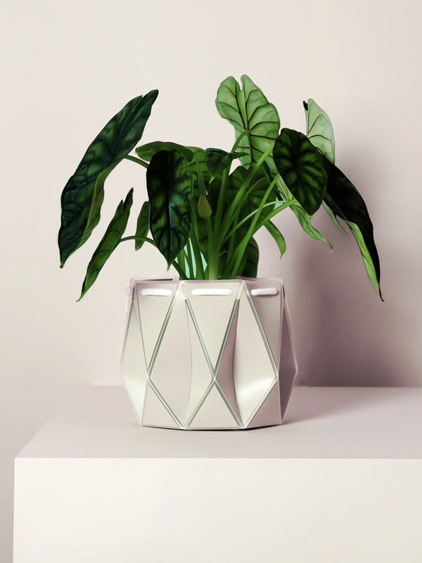 POTR x Waterhaul Recycled Ocean Plastic Self Watering Plant Pot - 11cm