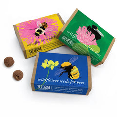 Seedball Wildflower Seeds for Bees