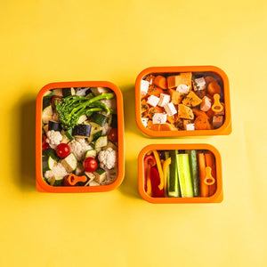 Elephant Box Prepare & Store Containers Orange