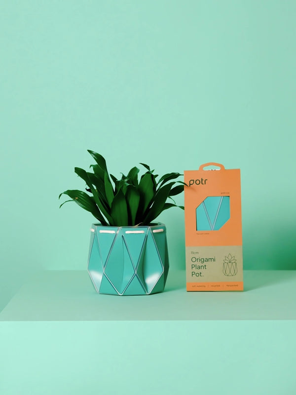 POTR x Waterhaul Recycled Ocean Plastic Self Watering Plant Pot - 11cm