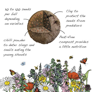 Seedball Wildflower Seeds for Bees