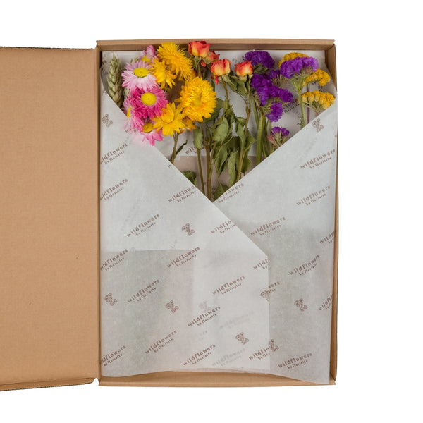 Wildflowers by Floriette Dried Flower Letterbox Gift - Multi