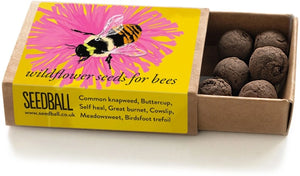 Seedball Wildflower Seeds for Bees