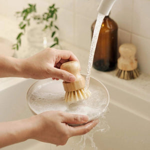 Jungle Culture Bamboo Dish Brush Set - x2 Brushes - Plastic Freedom