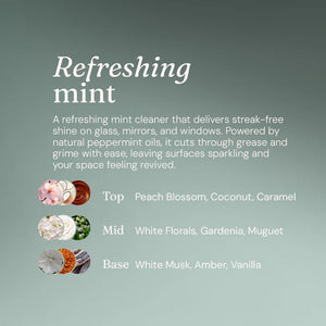 Miniml Window & Glass Cleaner Mint - Home Refill - Plastic Freedom