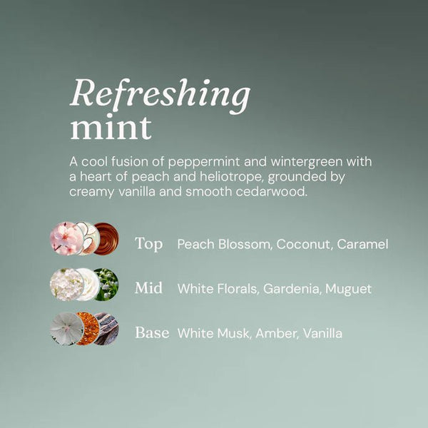 Miniml Window & Glass Cleaner Mint - Home Refill - Plastic Freedom