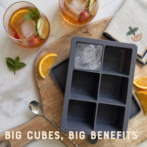 MoonMoon Giant Silicone Ice Cube Tray with Lid - Plastic Freedom