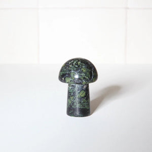 Neighbourhood Botanicals Gua Sha Shroom Facial Massage Tool - Plastic Freedom