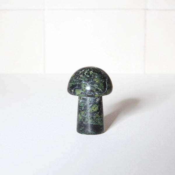 Neighbourhood Botanicals Gua Sha Shroom Facial Massage Tool - Plastic Freedom