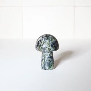 Neighbourhood Botanicals Gua Sha Shroom Facial Massage Tool - Plastic Freedom