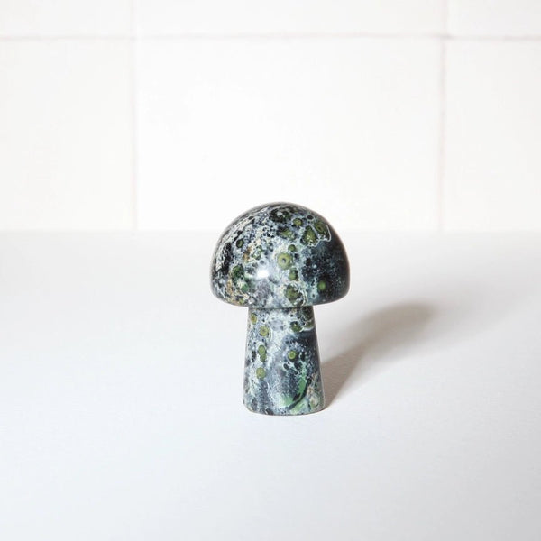 Neighbourhood Botanicals Gua Sha Shroom Facial Massage Tool - Plastic Freedom