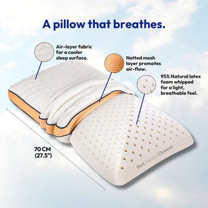 Not Swiss Cheese Talalay Latex Pillow - Plastic Freedom