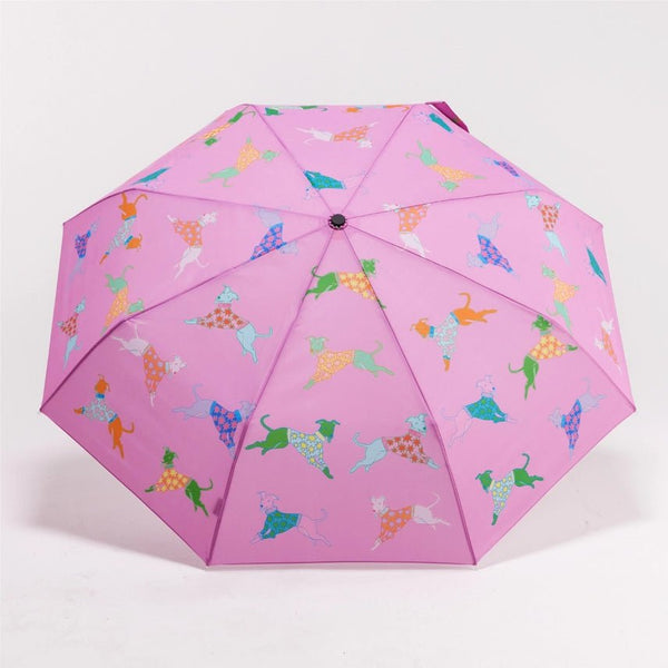 Original Duckhead Compact Recycled Umbrella - Whippets - Plastic Freedom