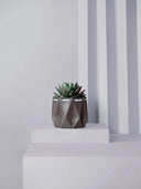 POTR x Waterhaul Recycled Ocean Plastic Self Watering Plant Pot - 11cm - Plastic Freedom
