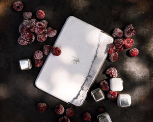 Pulito Stainless Steel Ice Pack - Plastic Freedom