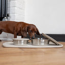 Pup & Kit Stainless Steel Pet Bowl with Stay Fresh Lid - Plastic Freedom