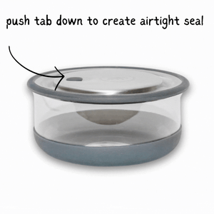 Elephant Box Leakproof Glass Lunch Box - Lunch Bowl