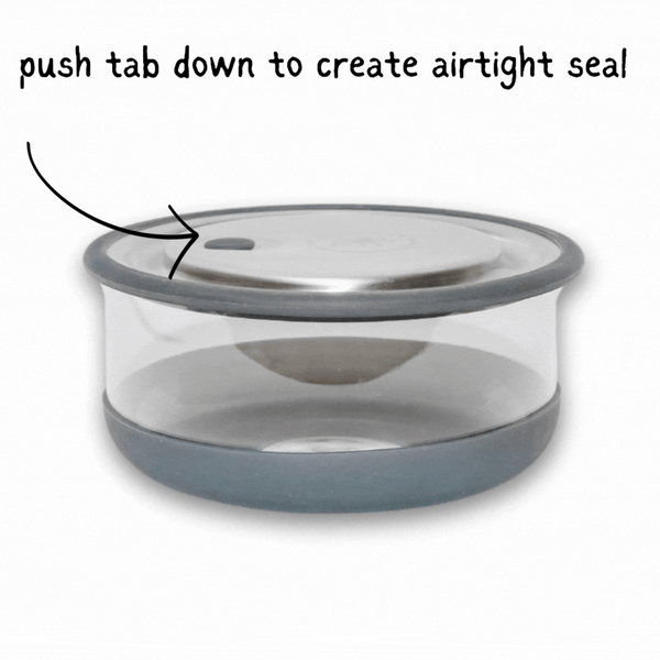 Elephant Box Leakproof Glass Lunch Box - Lunch Bowl
