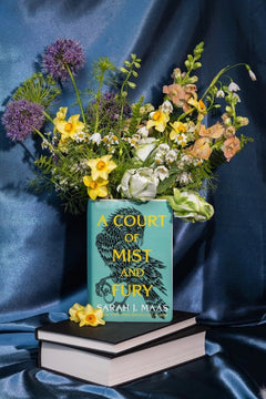Sarah J. Maas A Court of Mist and Fury Ceramic Vase - Plastic Freedom