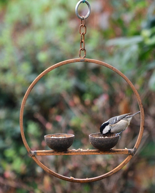 Savage Works Steel Hanging Double Bird Feeder - Plastic Freedom