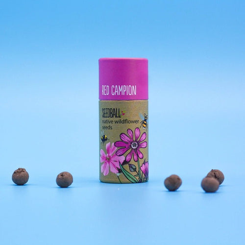 Seedball Wildflower Tube - Plastic Freedom