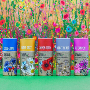 Seedball Wildflower Tube - Plastic Freedom
