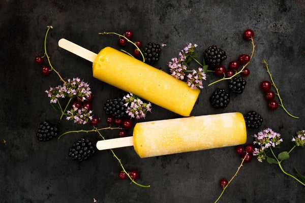 Stainless Steel Ice Lolly Maker - Plastic Freedom