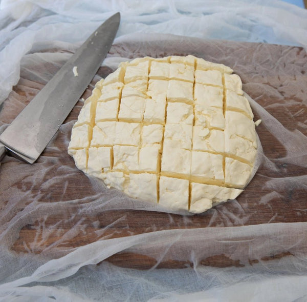 The Big Cheese Making Kit - Beer Lover's Cheese Making Kit - Plastic Freedom