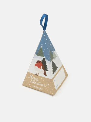 Thought Clothing Sustainable Men's Socks Festive Robin Sock Box - Plastic Freedom