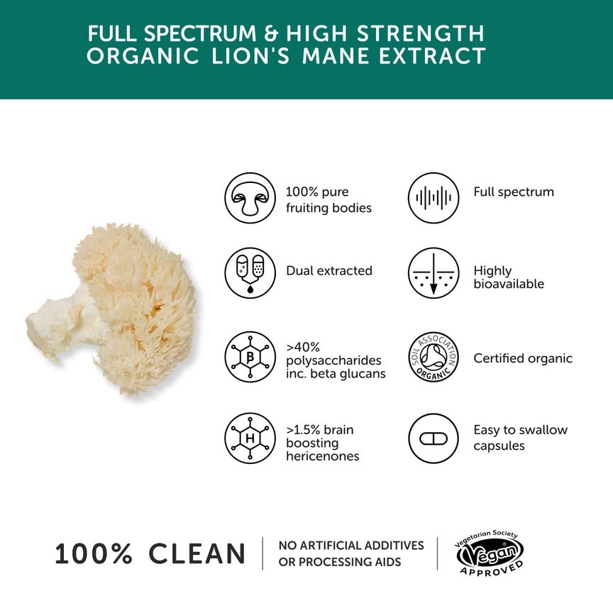 Together Health Lions Mane Mushroom 9740mg High Strenth x60 Capsules – Compostable Packet - Plastic Freedom
