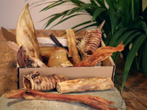 Pet Impact Plastic Free Dog Treats - Cool Climate Chews