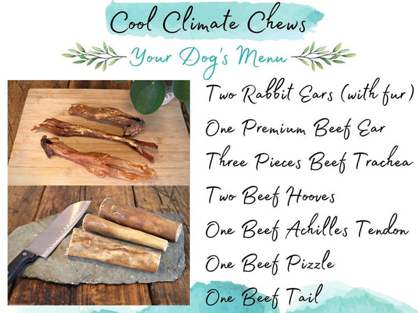 Pet Impact Plastic Free Dog Treats - Cool Climate Chews