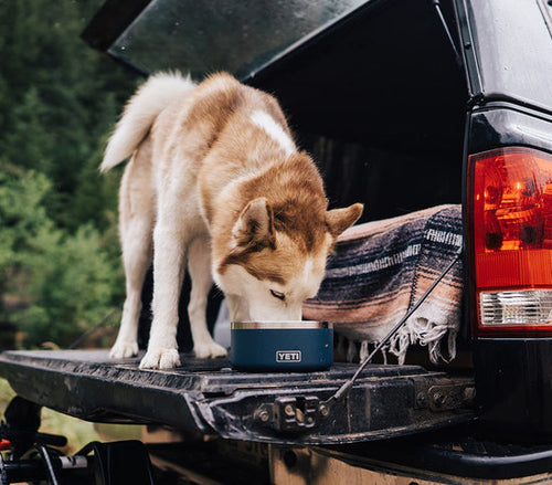 YETI BOOMER™ Dog Bowl