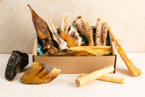 Pet Impact Plastic Free Dog Treats - Cool Climate Chews