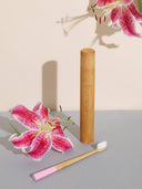 Truthbrush Bamboo Toothbrush Travel Case