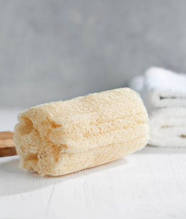 Eco Living Body Loofah