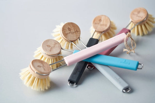 Eco Living Dish Brush with Plant Bristles - Plastic Freedom