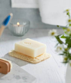 Eco Living Loofah Soap Rest - Plastic Freedom