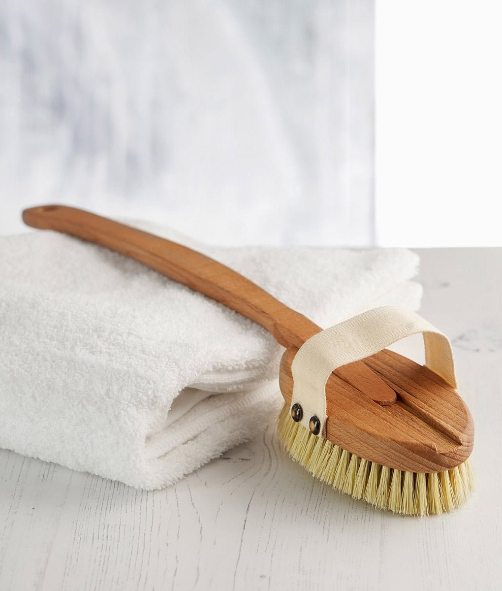 https://plasticfreedom.co.uk/cdn/shop/products/eco-living-replacement-wooden-head-for-bath-brush-412928.jpg?v=1697025906