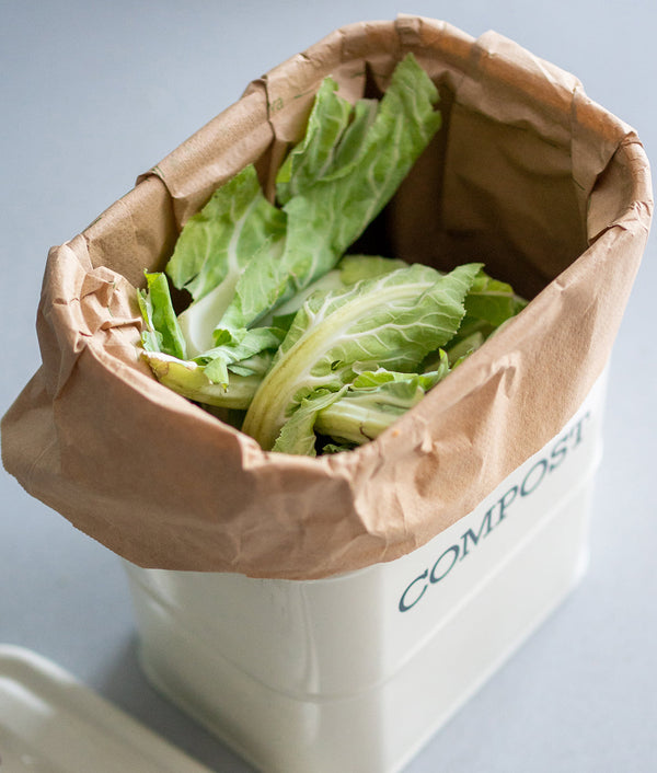 Eco Living Compostable Food Waste Paper Bags - x25 Pack