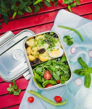 Elephant Box Clip & Seal Leakproof Lunchbox - Plastic Freedom