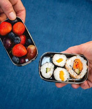 Elephant Box Mini Snack Pod Duo - Plastic Freedom