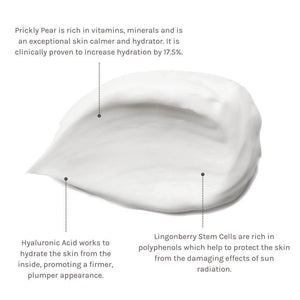 Evolve Beauty Climate Defence Facial Cream with SPF 30 - Sugar Cane Tube - Plastic Freedom